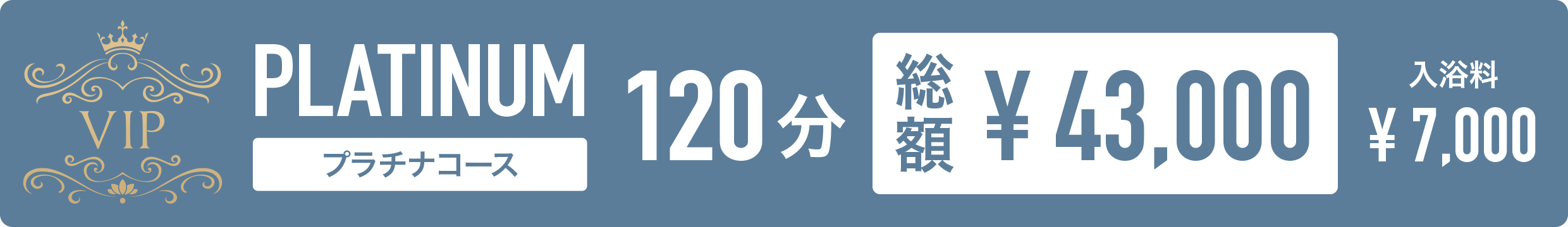 プラチナコース 120分 総額43,000円