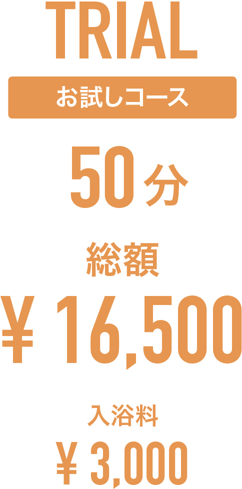 お試しコース 50分 総額16,500円