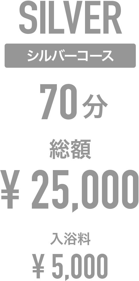 シルバーコース 70分 総額25,000円